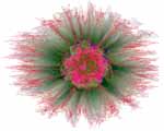 Artificial Genome Flower Gamma digital art